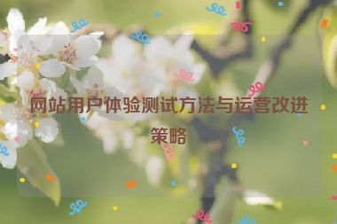網(wǎng)站用戶體驗測試方法與運營改進策略