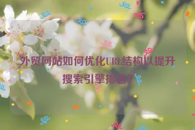 外貿網站如何優化URL結構以提升搜索引擎排名？