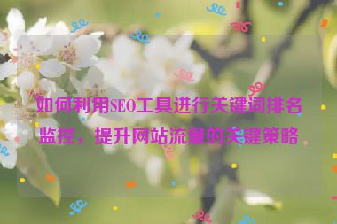 如何利用SEO工具進行關鍵詞排名監控，提升網站流量的關鍵策略