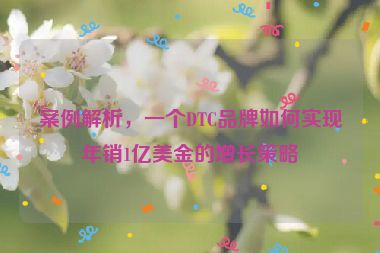 案例解析，一個DTC品牌如何實現(xiàn)年銷1億美金的增長策略