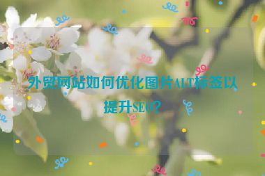 外貿網站如何優化圖片ALT標簽以提升SEO？