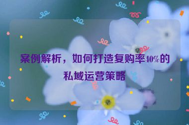 案例解析，如何打造復(fù)購率40%的私域運營策略