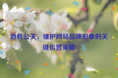 危機公關，維護網站品牌形象的關鍵運營策略