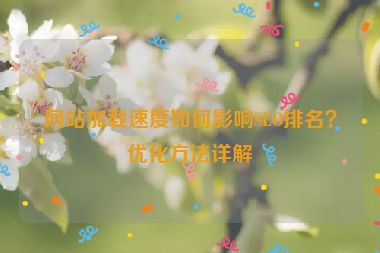 網(wǎng)站加載速度如何影響SEO排名？?jī)?yōu)化方法詳解