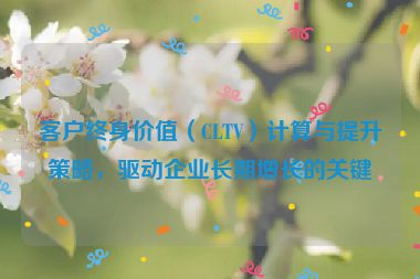 客戶終身價值（CLTV）計算與提升策略，驅動企業長期增長的關鍵