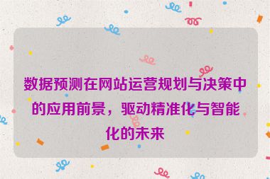 數(shù)據(jù)預(yù)測(cè)在網(wǎng)站運(yùn)營規(guī)劃與決策中的應(yīng)用前景，驅(qū)動(dòng)精準(zhǔn)化與智能化的未來