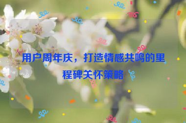 用戶周年慶，打造情感共鳴的里程碑關懷策略