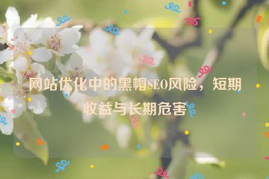網站優化中的黑帽SEO風險，短期收益與長期危害