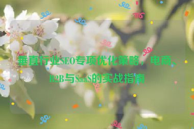 垂直行業(yè)SEO專項(xiàng)優(yōu)化策略，電商、B2B與SaaS的實(shí)戰(zhàn)指南