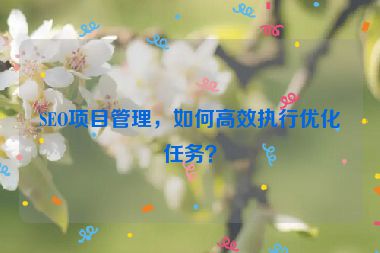 SEO項目管理，如何高效執行優化任務？