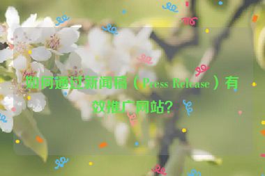 如何通過新聞稿（Press Release）有效推廣網(wǎng)站？