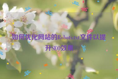 如何優(yōu)化網(wǎng)站的Robots.txt文件以提升SEO效果