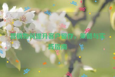 營銷如何提升客戶留存，策略與實踐指南