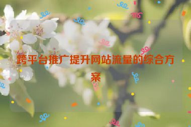 跨平臺推廣提升網站流量的綜合方案