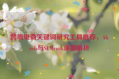 跨境電商關鍵詞研究工具推薦，Ahrefs與SEMrush深度解析