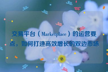 交易平臺（Marketplace）的運營要點，如何打造高效增長的雙邊市場