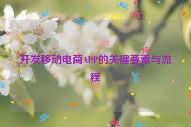 開發移動電商APP的關鍵要素與流程