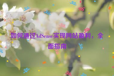 如何通過AdSense實現(xiàn)網(wǎng)站盈利，全面指南
