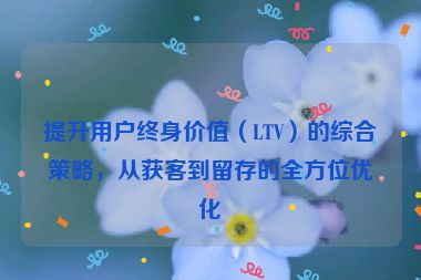 提升用戶終身價值（LTV）的綜合策略，從獲客到留存的全方位優化