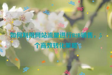 如何利用網(wǎng)站流量進行B2B銷售，5個高效轉(zhuǎn)化策略