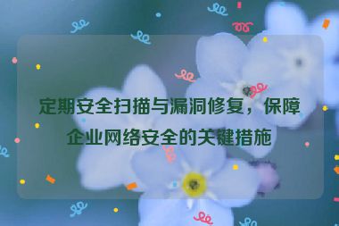 定期安全掃描與漏洞修復，保障企業(yè)網(wǎng)絡安全的關(guān)鍵措施