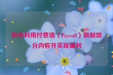如何利用付費墻（Paywall）限制部分內(nèi)容并實現(xiàn)盈利