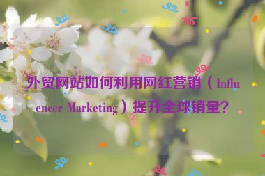 外貿網站如何利用網紅營銷（Influencer Marketing）提升全球銷量？