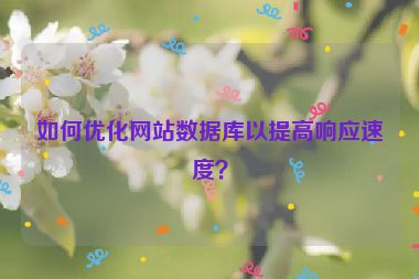 如何優(yōu)化網(wǎng)站數(shù)據(jù)庫以提高響應速度？