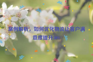 案例解析，如何優化物流讓客戶滿意度提升30%