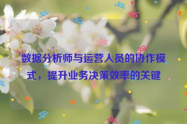 數據分析師與運營人員的協作模式，提升業務決策效率的關鍵