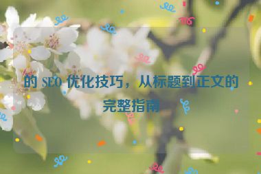 的 SEO 優化技巧，從標題到正文的完整指南