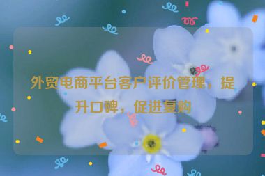 外貿電商平臺客戶評價管理，提升口碑，促進復購