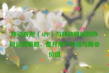 移動應(yīng)用（APP）與移動網(wǎng)站的協(xié)同運營策略，提升用戶體驗與商業(yè)價值
