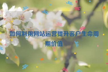 如何利用網站運營提升客戶生命周期價值