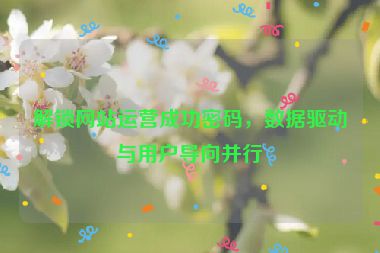 解鎖網站運營成功密碼，數據驅動與用戶導向并行