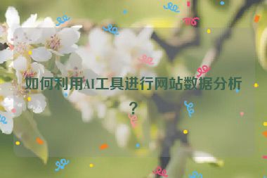 如何利用AI工具進行網(wǎng)站數(shù)據(jù)分析？