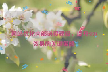 網(wǎng)站優(yōu)化內(nèi)部鏈接建設，提升SEO效果的關鍵策略