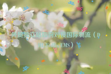 外貿獨立站如何對接國際物流（DHL/FedEx/EMS）