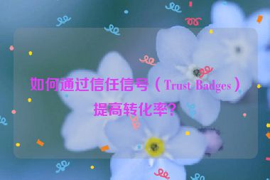 如何通過(guò)信任信號(hào)（Trust Badges）提高轉(zhuǎn)化率？