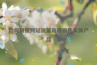 如何利用網(wǎng)站流量高效銷售實體產(chǎn)品