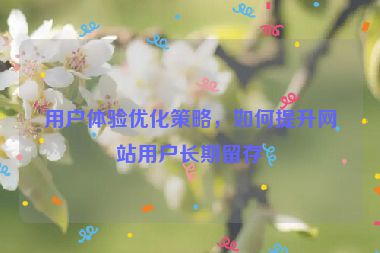 用戶體驗(yàn)優(yōu)化策略，如何提升網(wǎng)站用戶長(zhǎng)期留存