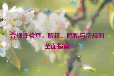 合規性檢查，版權、隱私與法規的全面指南