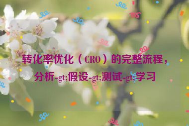 轉化率優化（CRO）的完整流程，分析-gt;假設-gt;測試-gt;學習