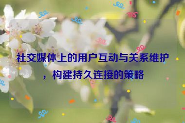 社交媒體上的用戶互動與關系維護，構建持久連接的策略