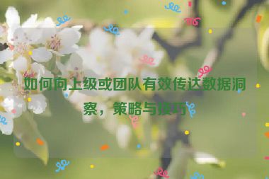 如何向上級或團隊有效傳達數據洞察，策略與技巧