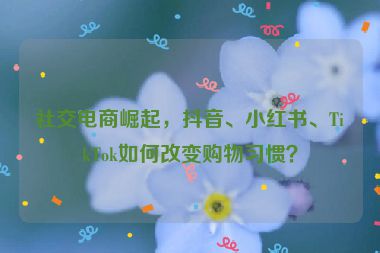 社交電商崛起，抖音、小紅書、TikTok如何改變購物習(xí)慣？