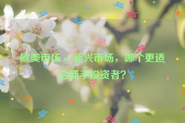 歐美市場(chǎng) vs 新興市場(chǎng)，哪個(gè)更適合新手投資者？