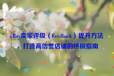 eBay賣家評級（Feedback）提升方法，打造高信譽店鋪的終極指南
