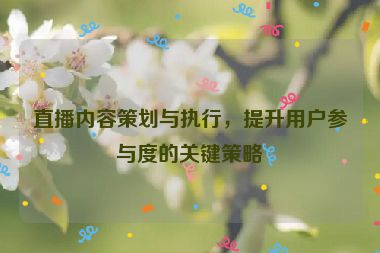 直播內(nèi)容策劃與執(zhí)行，提升用戶參與度的關(guān)鍵策略