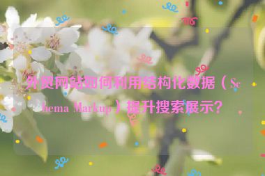 外貿網站如何利用結構化數據（Schema Markup）提升搜索展示？